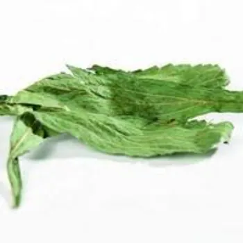 Fresh Dry Stevia Leaves